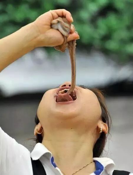 而且还有寄生虫许多人觉得生吃鱿鱼很残忍还是不怕死照样吃……但是