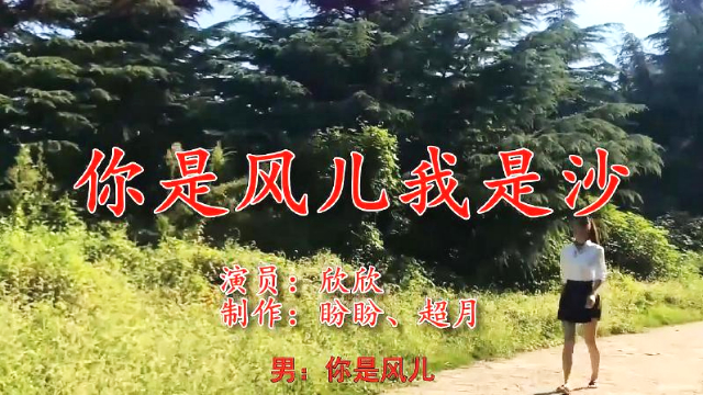 经典老歌你是风儿我是沙回味悠长满满的回忆感呀