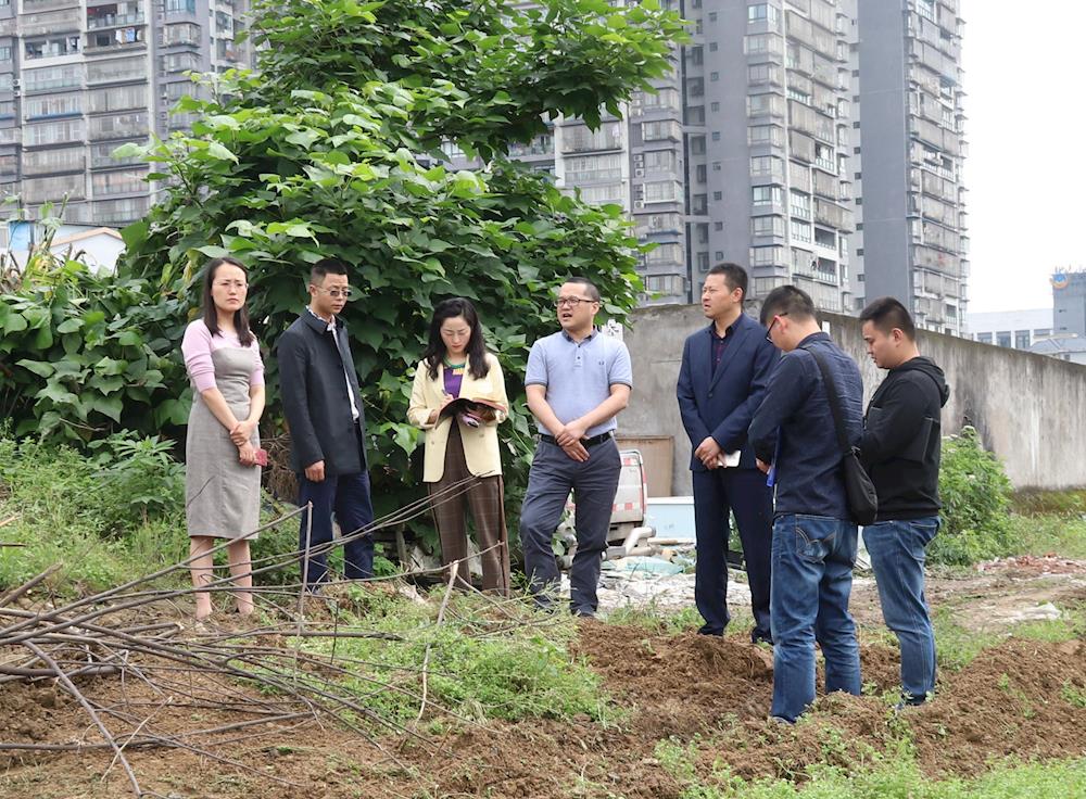 龙马潭区区长刘著图片