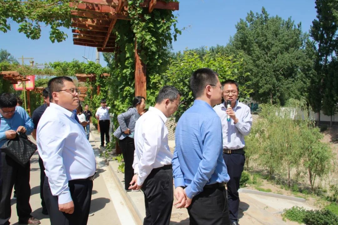 纳污坑塘整治行动在路上_饶阳县