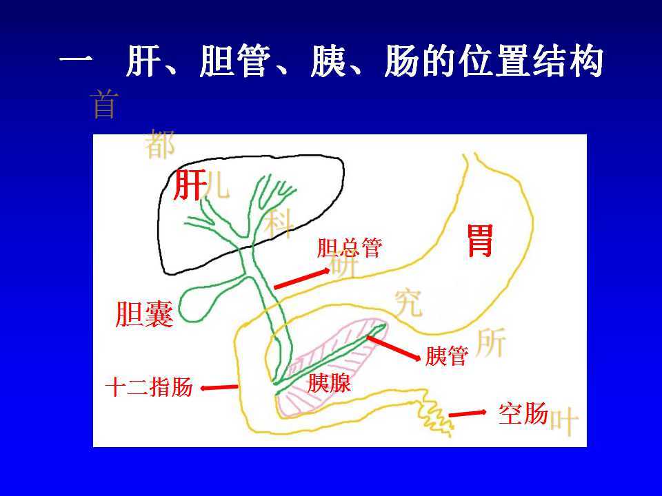胆总管囊肿手术图解和术后护理事项(图片版) (原创)
