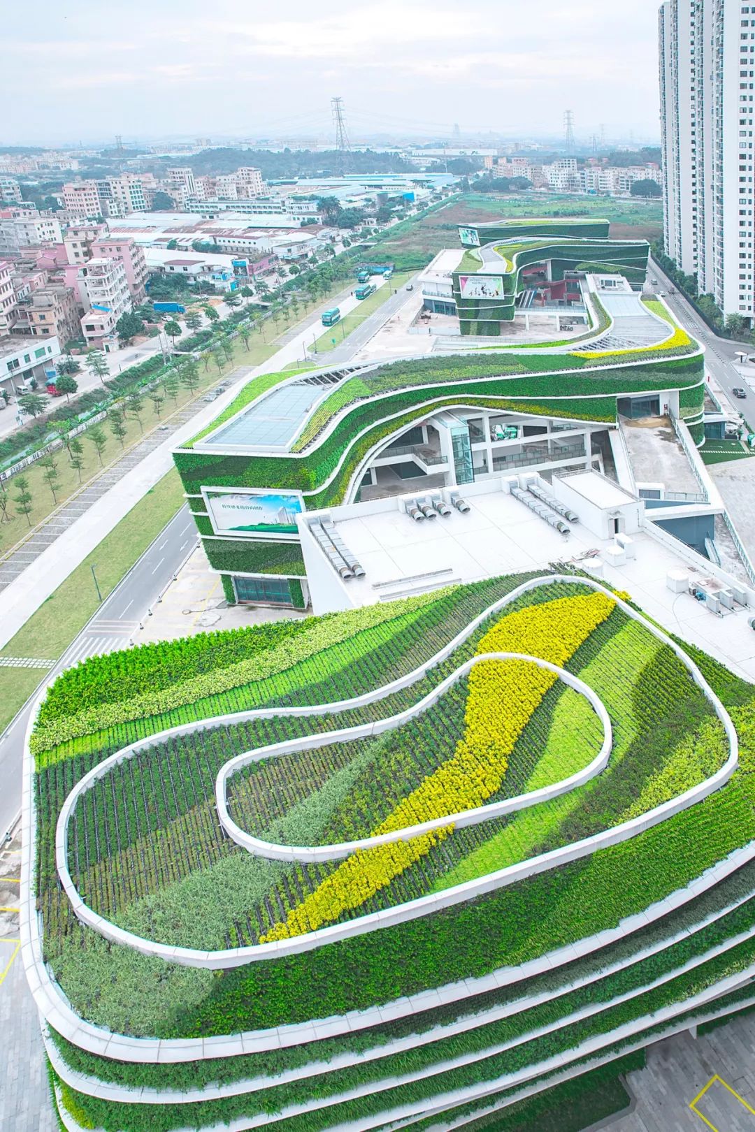 广州建成世界最大垂直绿化项目智能灌溉自动补肥重新定义建筑立面