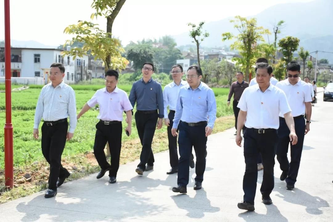 省财政厅党组书记厅长戴运龙率队到鹤市镇鹤市村调研