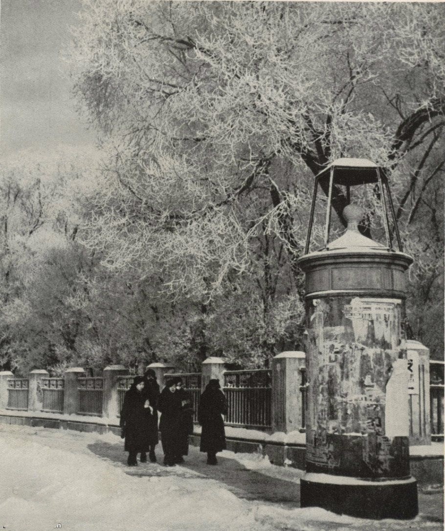 1942年的东北哈尔滨雪地跑着马车依大车轮而坐的是蒙族姑娘