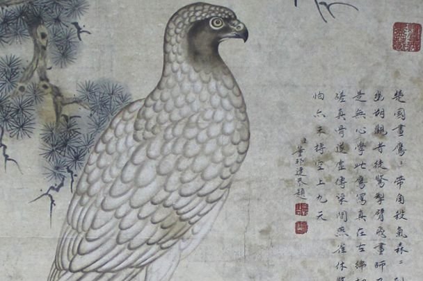 中国古美術・四尺鹰掛軸・宣紙・国画・郎世寧印款印款・書道・肉筆