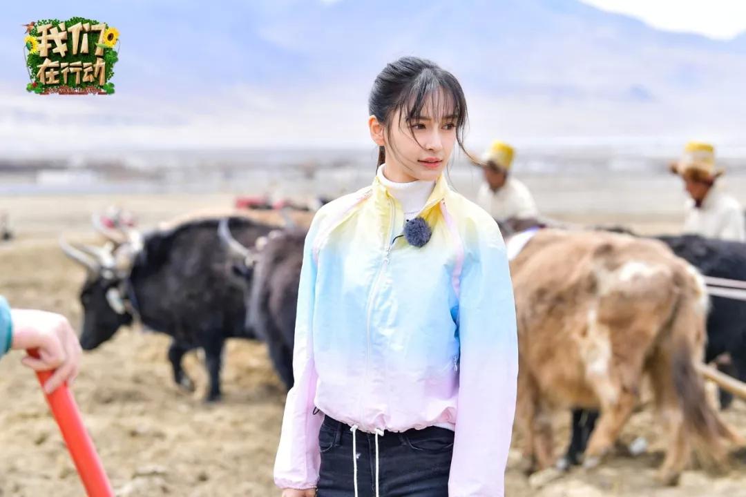《我们在行动》第三季第六站公益大使陈蓉收到本站心愿委托人蒲巴甲的