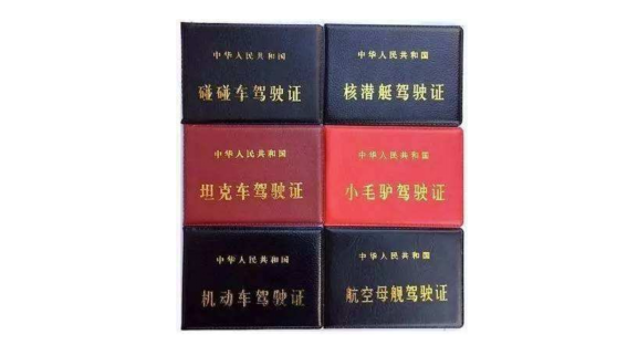 驾驶证还是假的 你咋不上天呢?
