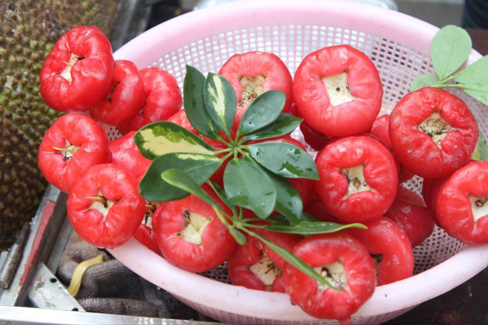 原创既是水果又是蔬菜,俗称"水石榴",味道酷似苹果,夏季吃正合适