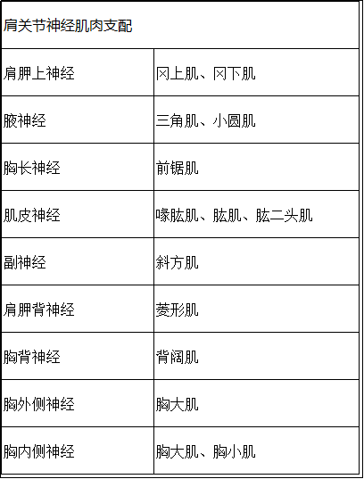 留言解读臂丛神经