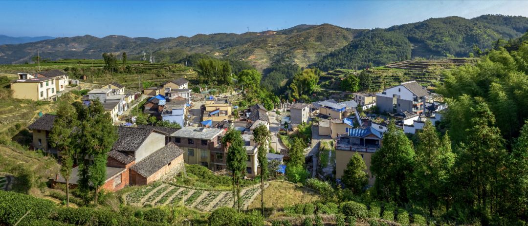 诗与远方|"闽东之光·诗话柘荣"文学采风活动_洪坑