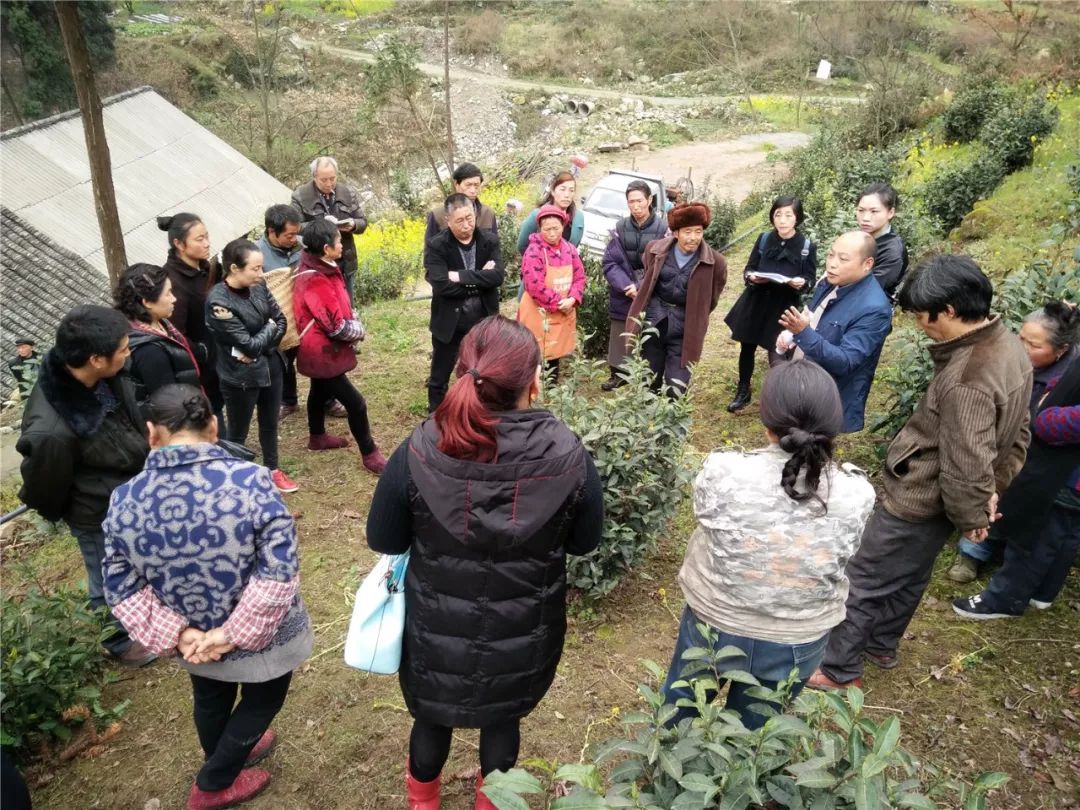 一碗水村支部書記孫國剛告訴記者,該村村民都很勤快,由於耕地少,大多