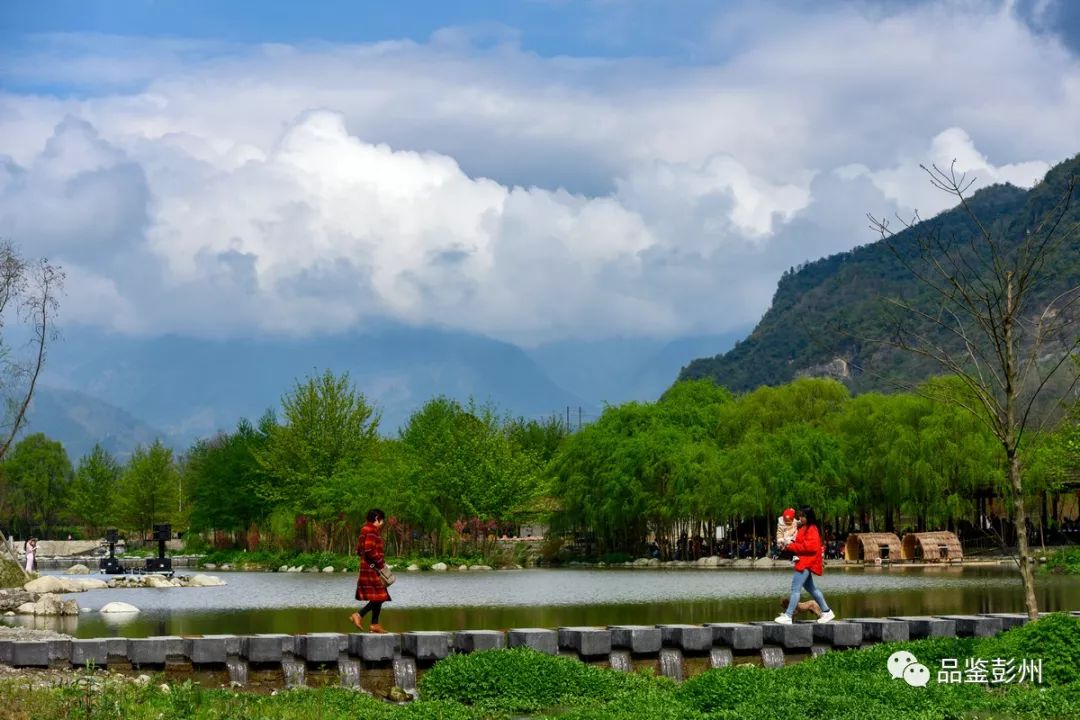 魚鳧溼地公園,你要的夏日時光這裡都有!