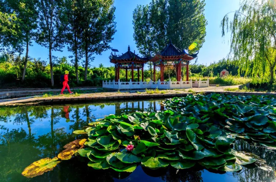 关注蓝村镇开展贫困家庭环境提升行动让贫困户生活有品质