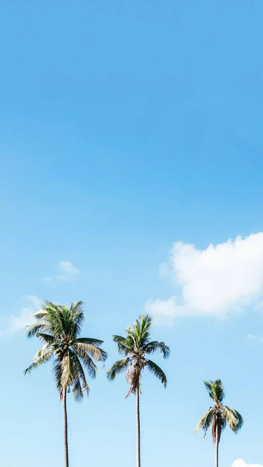 今天发一组舒心的全面屏壁纸