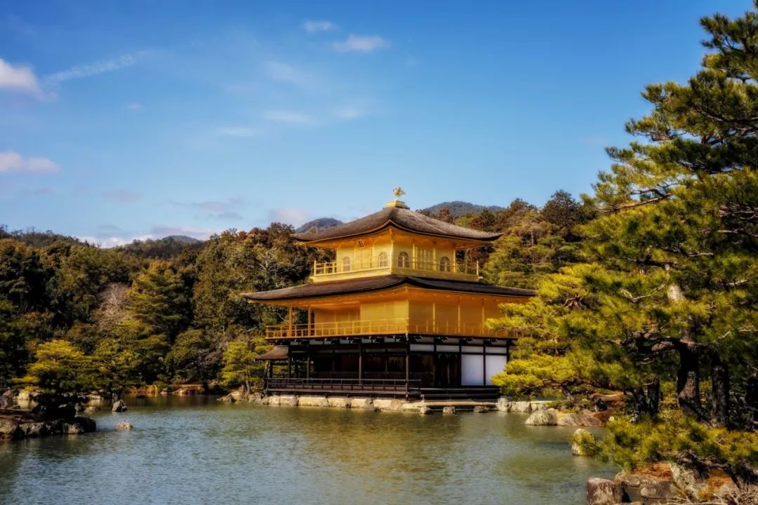 夏日領略櫻花以外的日本美景