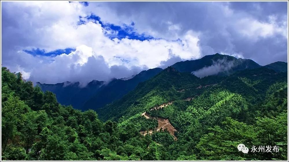 永州兩個國家級自然保護區總體規劃獲批!春夏秋冬 皆是風景~_湖南