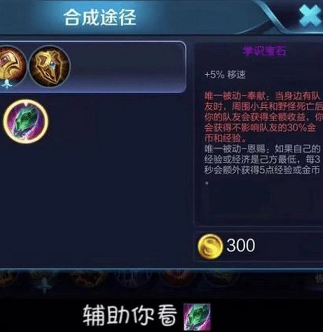 辅助出门买学识宝石