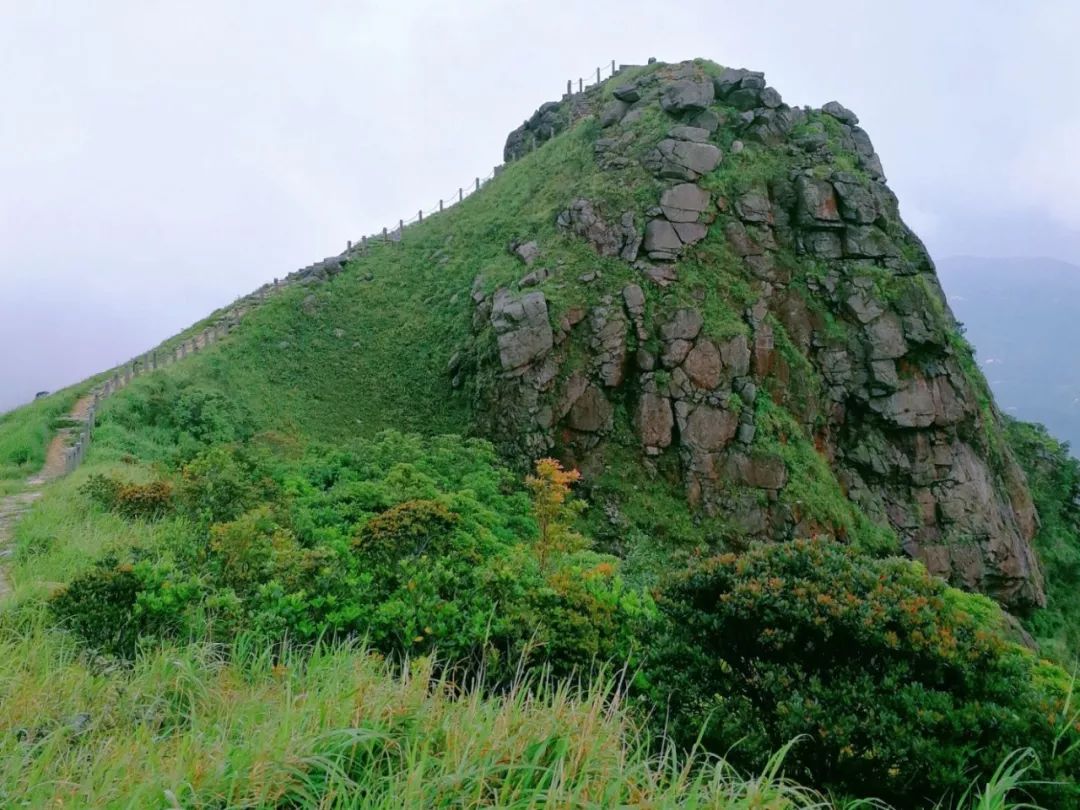 梧桐山和七娘山竟然是火山不用怕爬山攻略献上