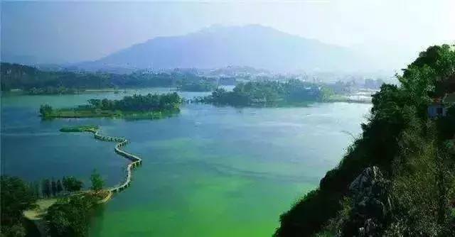 5,海珠国家湿地公园地址:广州市海珠区新滘中路168号6,淇澳-担杆岛