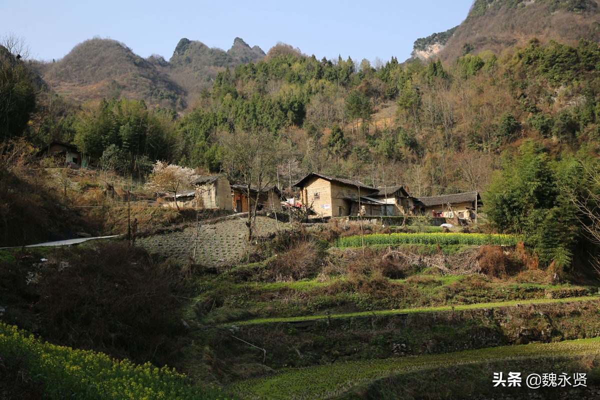 大山里的世外桃源,老夫妻住土坯房吃粗茶淡饭,生活简单快乐