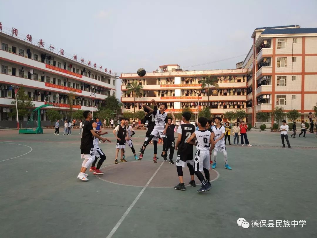 控辍保学,我们在行动——德保民中践行控辍保学方案活动纪实