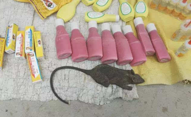 原创农村集市上卖老鼠药的小贩回收老鼠尾巴有什么用处吗
