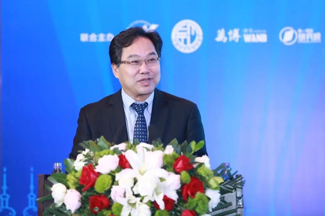 市政府发展研究中心主任吴思康,海南省发展和改革委员会副主任黄文川