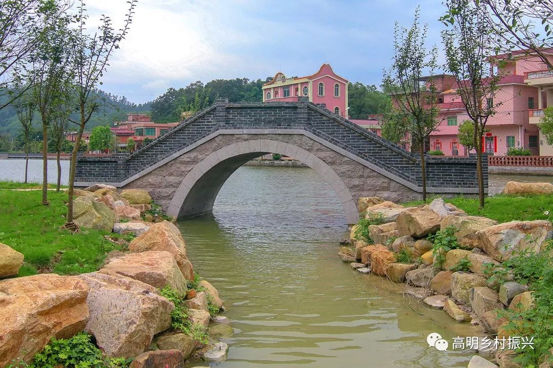 高明区人大常委会视察乡村振兴工作_水井村