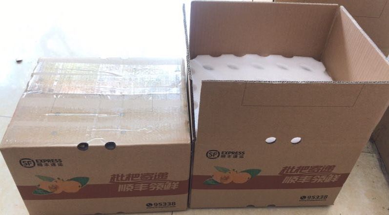 抢破头的白枇杷,今年我们承包整个山头,吃!到!爽!