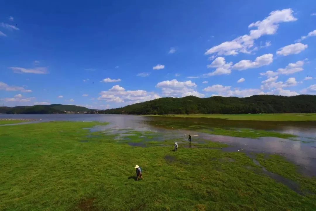 任性玩!楚雄这些免费景点够你玩转整个夏天