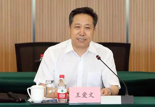 这位新任民政部副部长曾坚持让森林休养生息