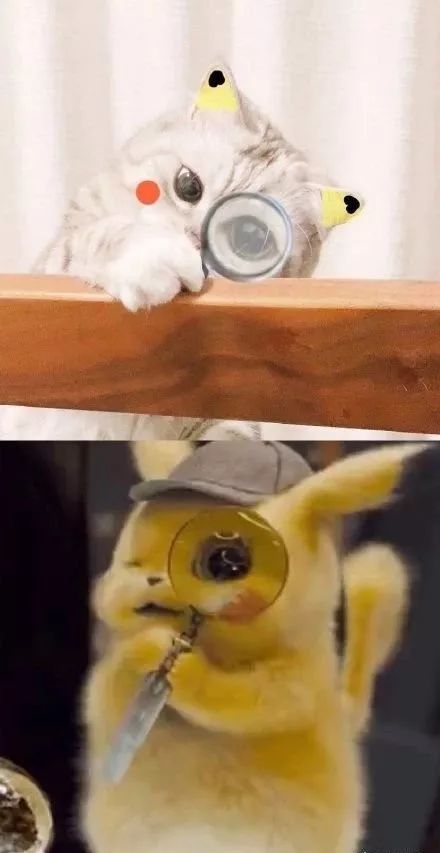 皮卡丘这么可爱怎么可能不是猫呢