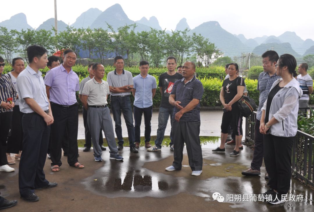 融安縣高端網站建設教學_(融安縣高端網站建設教學項目)