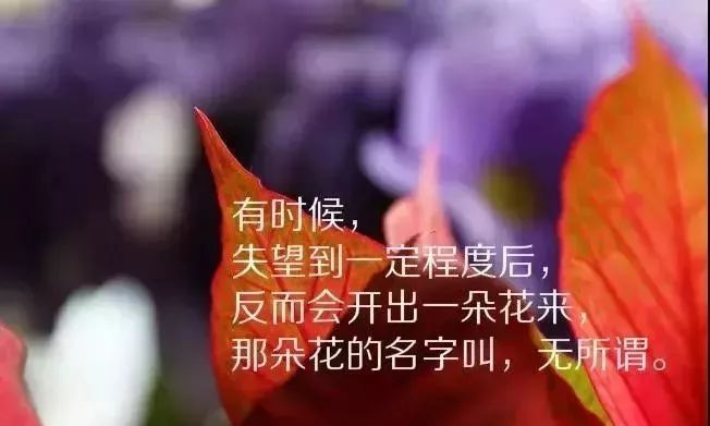 让对方看到了心疼的伤感句子忧伤难过的句子