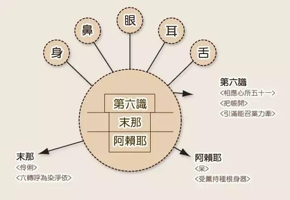 一切有情 各有八识
