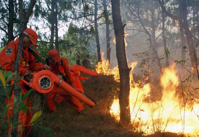 凉山州木里县发生森林火灾 四川启动森林火灾四级应急响应