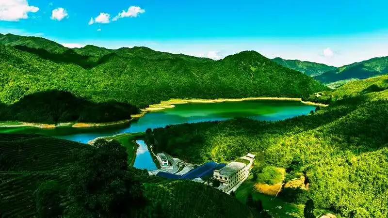 种植,加工为一体的综合性产业化龙头企业——宜黄县军峰山茶业有限