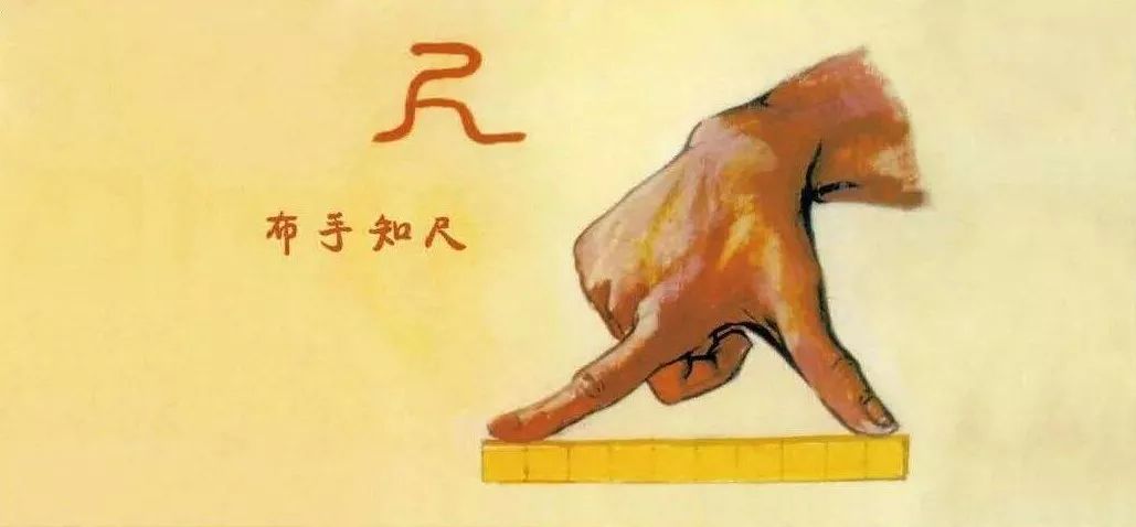 正好是中等身高人拇指尖至食指尖间一拃的长度,与"布手知尺"相吻合