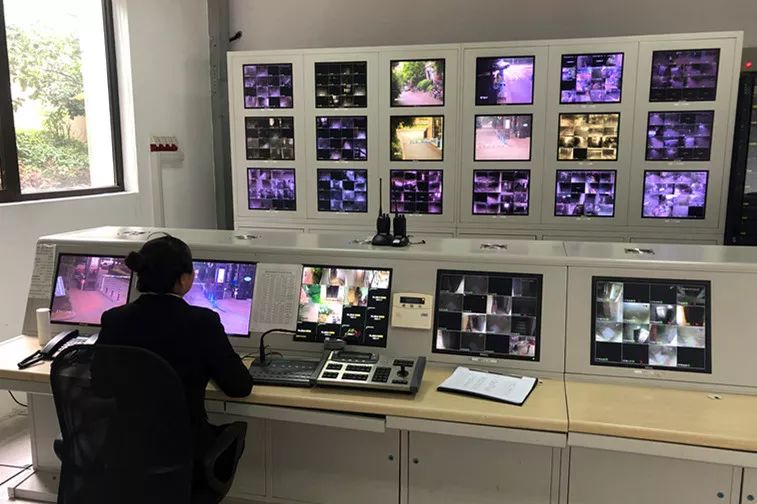 如何防范? 这个镇正布下"天罗地网"_监控