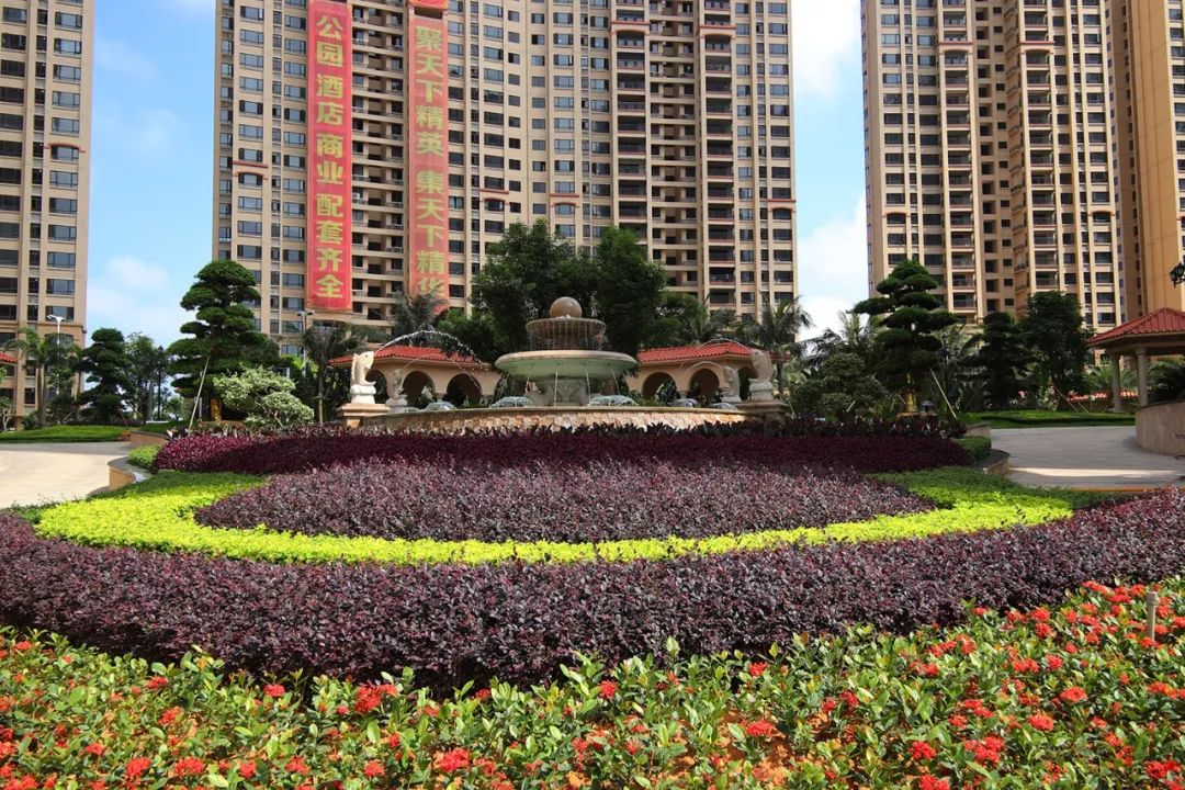 让诗和远方近在咫尺南国豪苑三期园林大美呈现