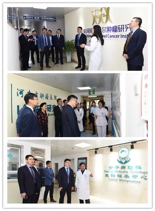 石药集团首席执行官张翠龙一行分别到中美(河南)荷美尔肿瘤研究院