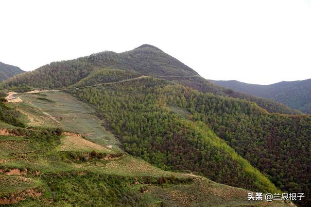 蘭州南部大山深處的美麗鄉村天然氧吧深溝掌