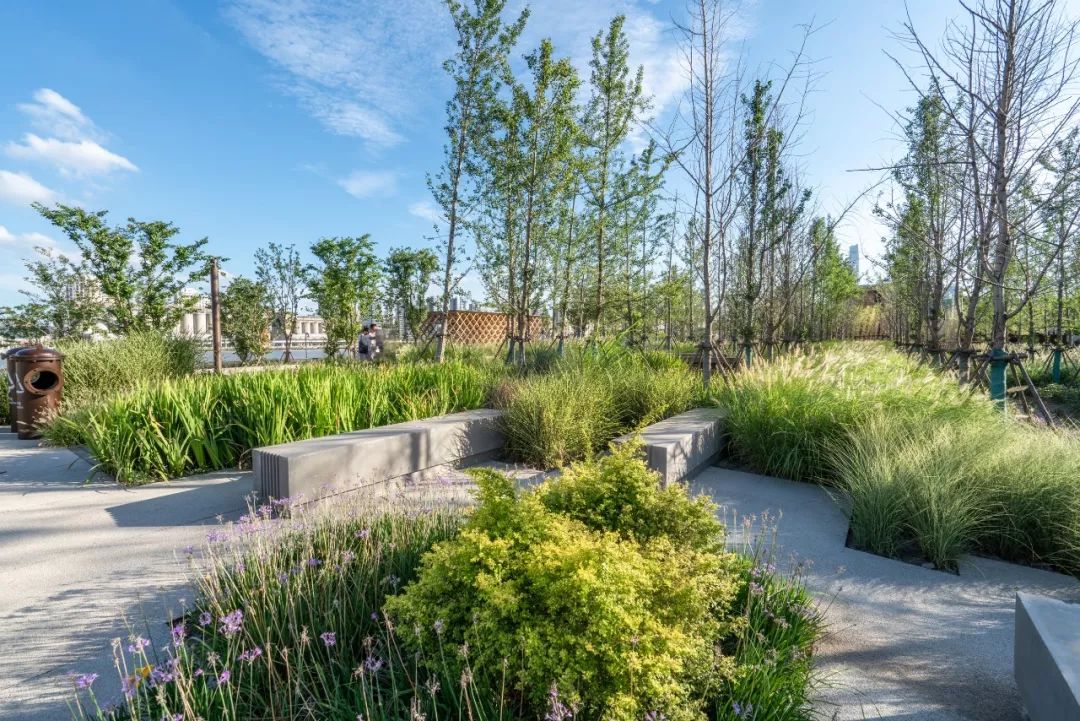 作品 | 杨浦滨江公共空间二期,有公众才能称为城市 / 大观景观设计