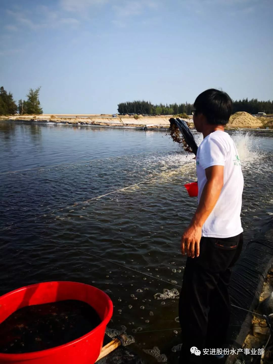 水产人饲料人的苦有谁能懂