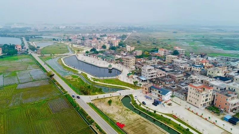 陆丰这个村又上新闻了