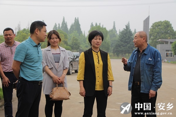 林红华调研重点项目推进工作