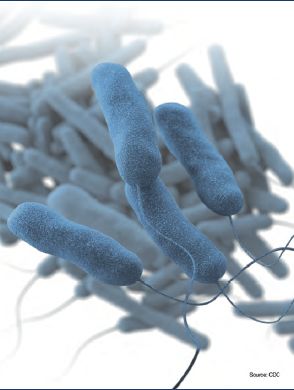 环境与健康夏日将至要警惕藏在身边的隐形杀手军团菌