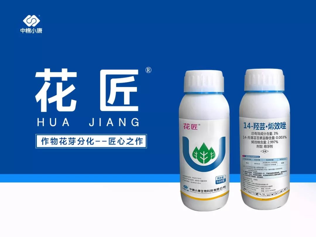 花匠专题篇新疆阿克苏花匠产品技术交流