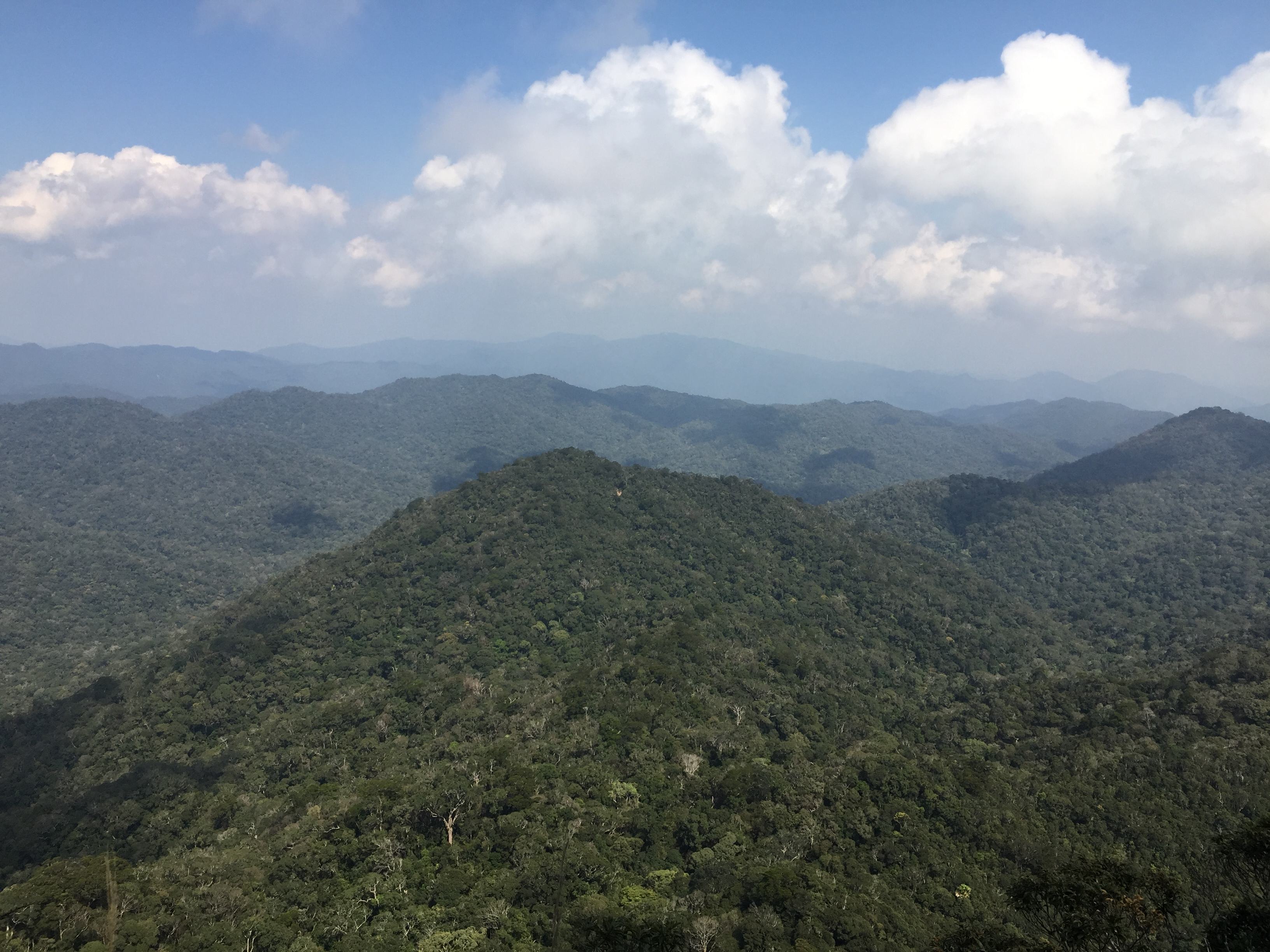 中国最美十大森林公园——尖峰岭国家森林公园