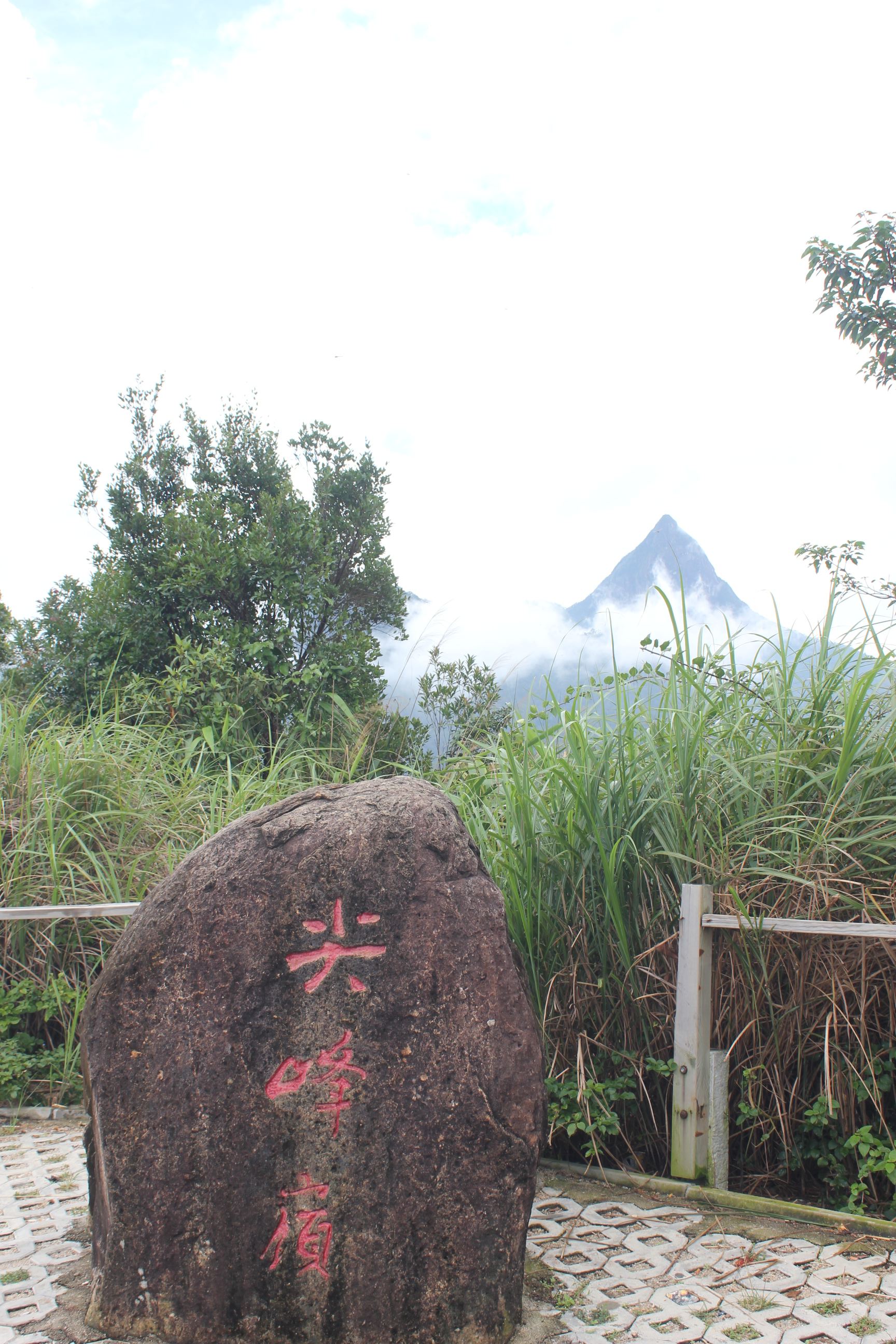 中国最美十大森林公园——尖峰岭国家森林公园